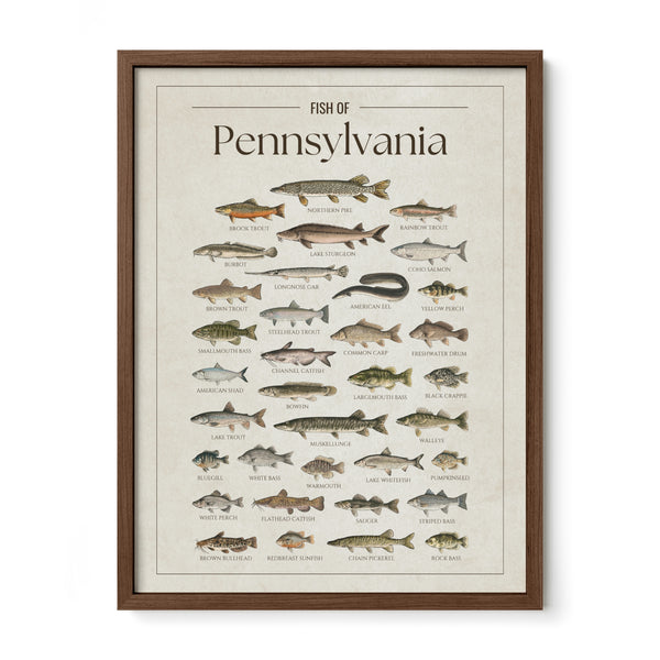 Pennsylvania Print