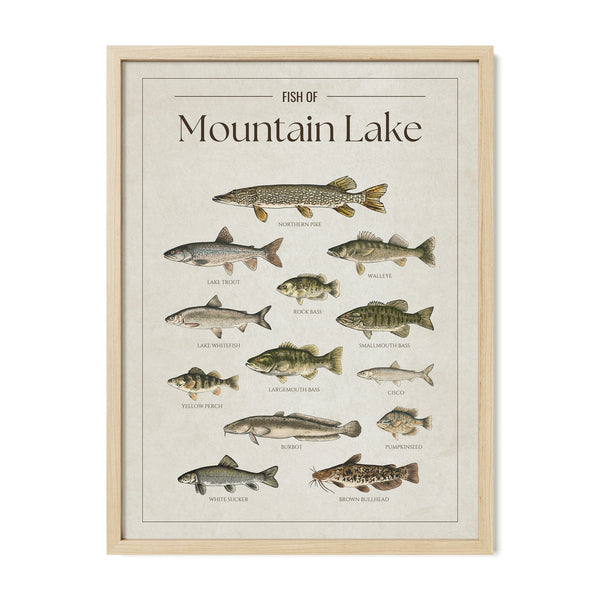 Mountain Lake Print