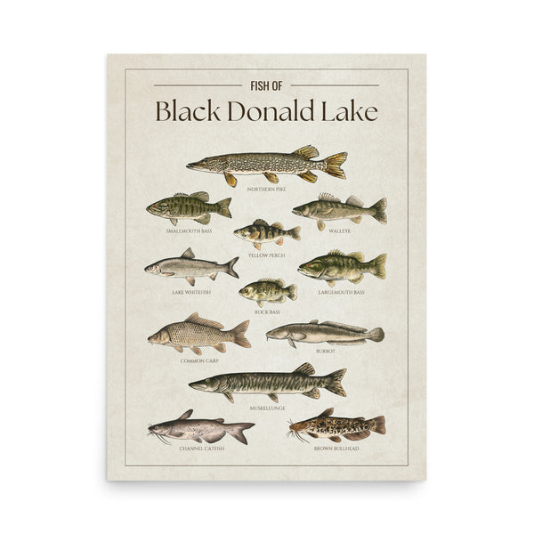Black Donald Lake Print