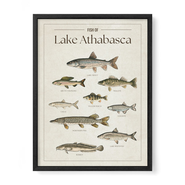Lake Athabasca Print