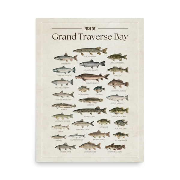 Grand Traverse Bay Print