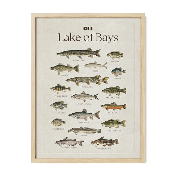 Lake of Bays Print