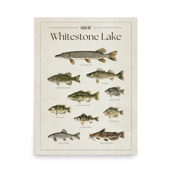 Whitestone Lake Print