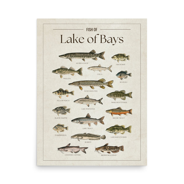 Lake of Bays Print