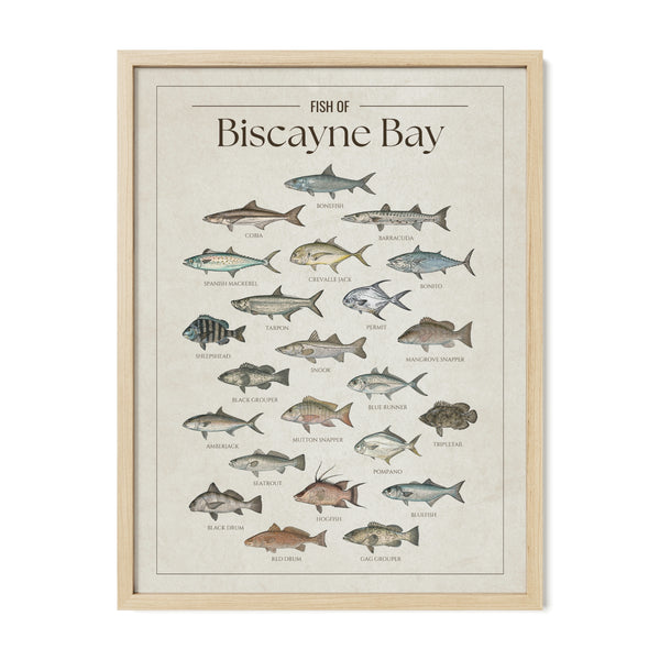 Biscayne Bay Print