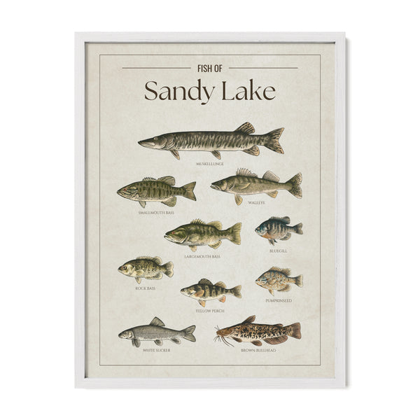 Sandy Lake Print