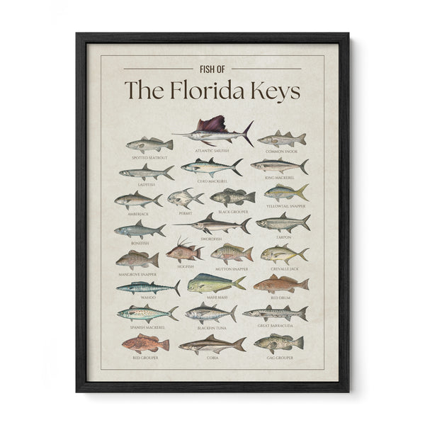 The Florida Keys Print