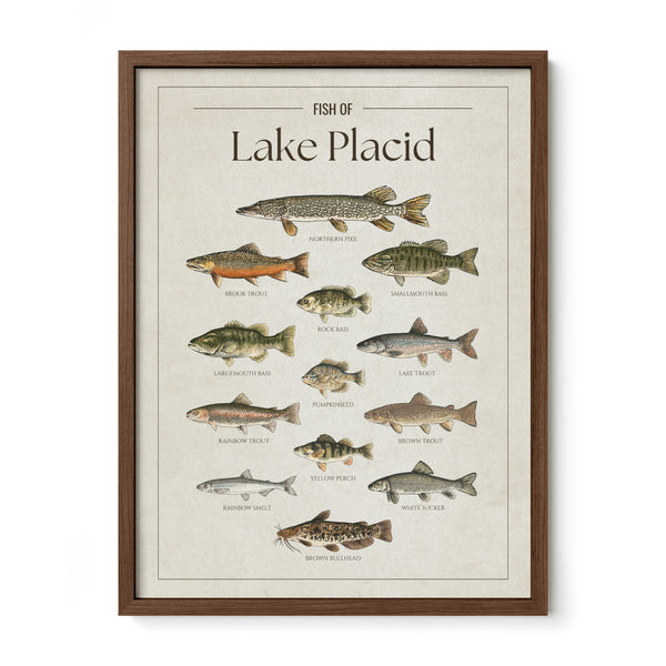 Lake Placid Print