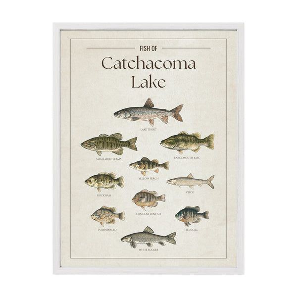 Catchacoma Lake Print
