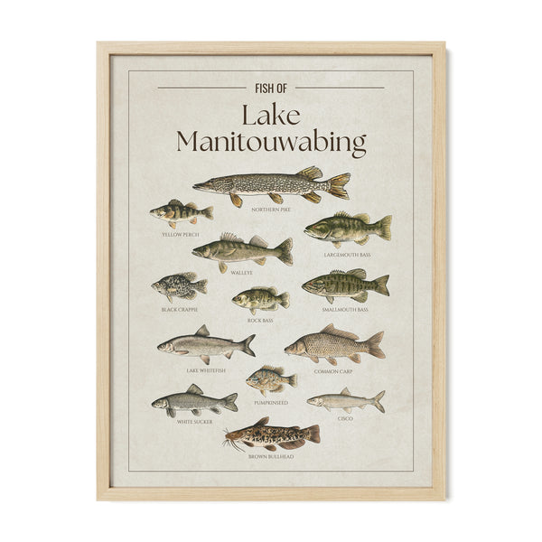 Lake Manitouwabing Print