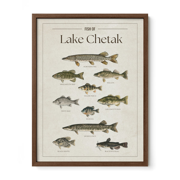 Lake Chetak Print