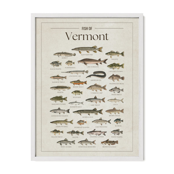Vermont Print