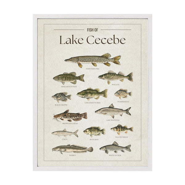 Lake Cecebe Print