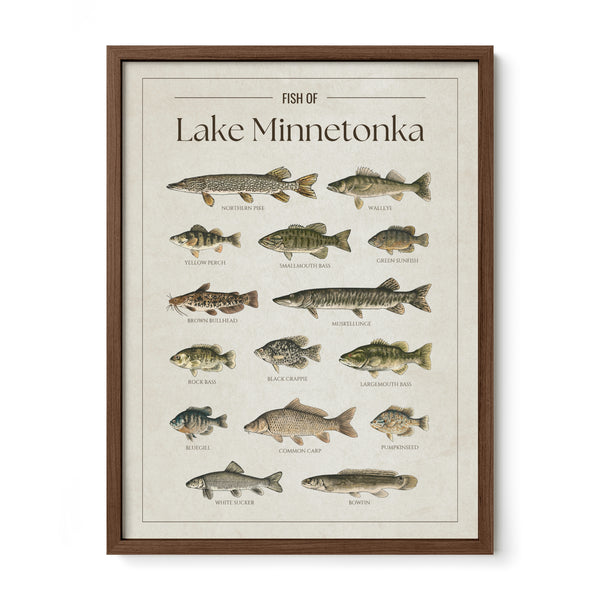 Lake Minnetonka Print