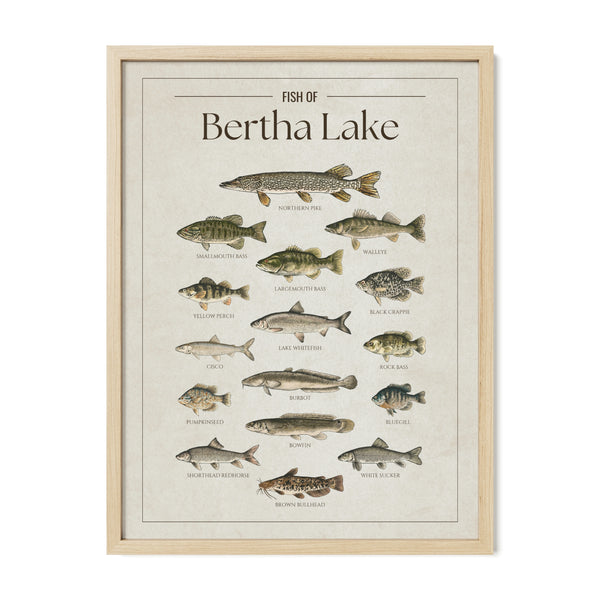 Bertha Lake Print