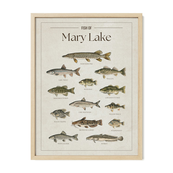 Mary Lake Print