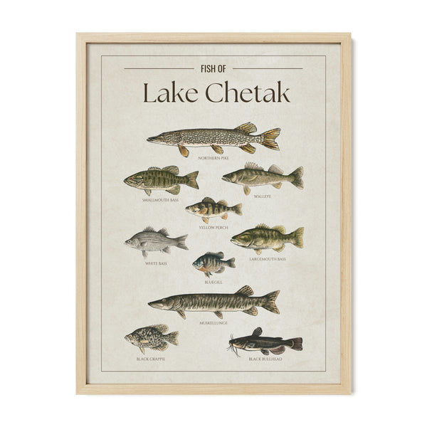 Lake Chetak Print