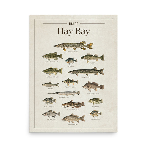 Hay Bay Print