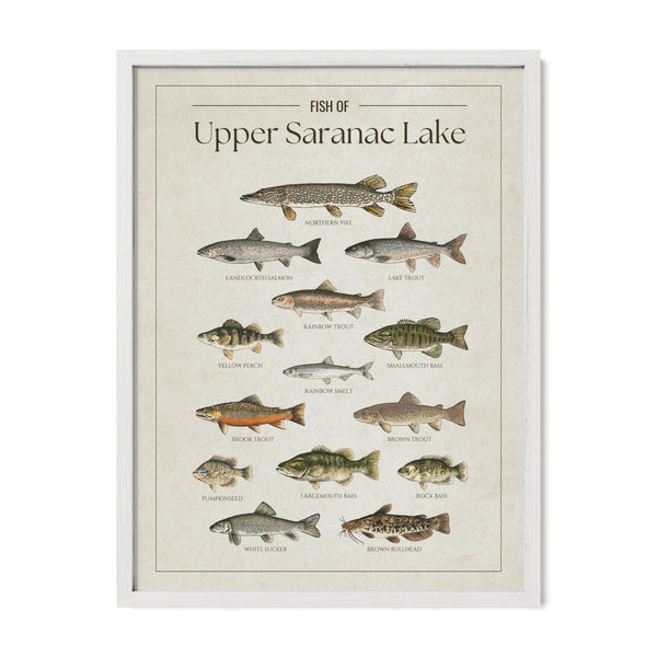 Upper Saranac Lake Print