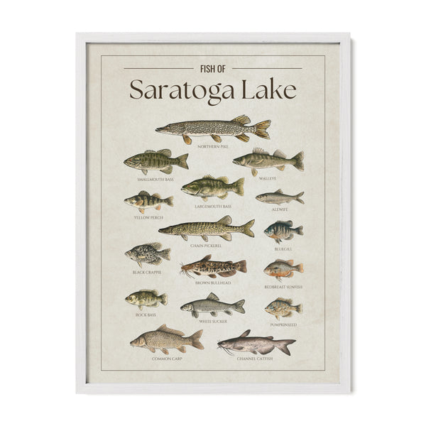 Saratoga Lake Print