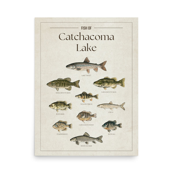 Catchacoma Lake Print