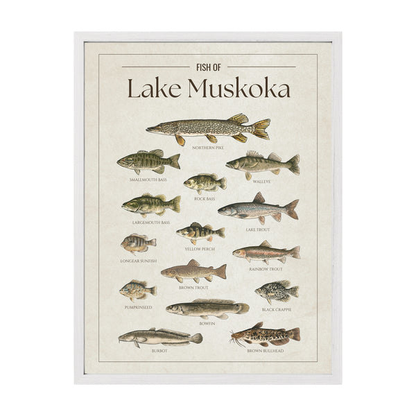 Lake Muskoka Print