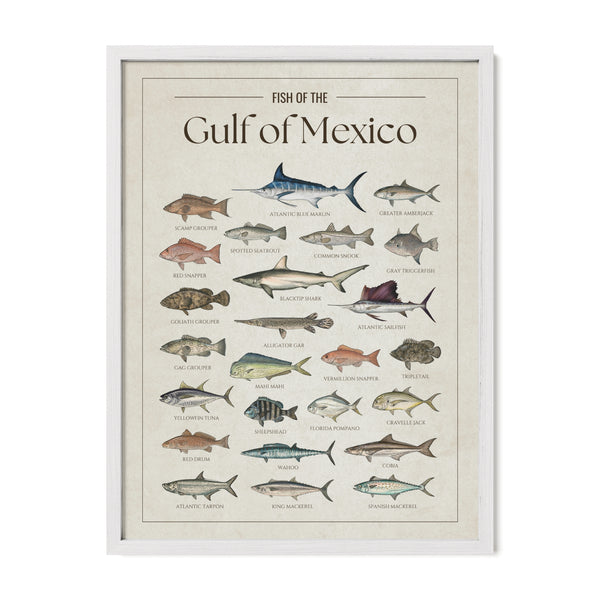 Gulf of Mexico Print