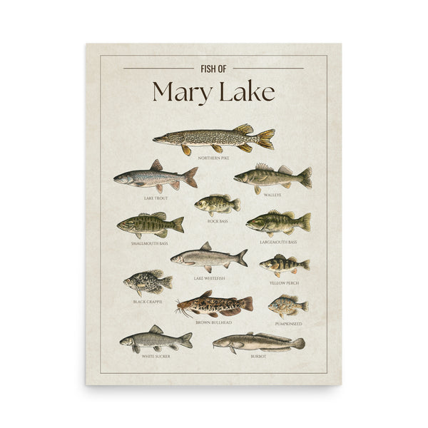 Mary Lake Print