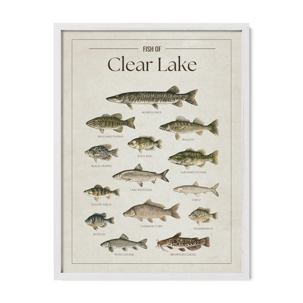 Clear Lake Print