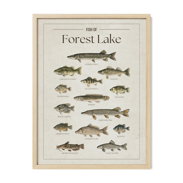 Forest Lake Print