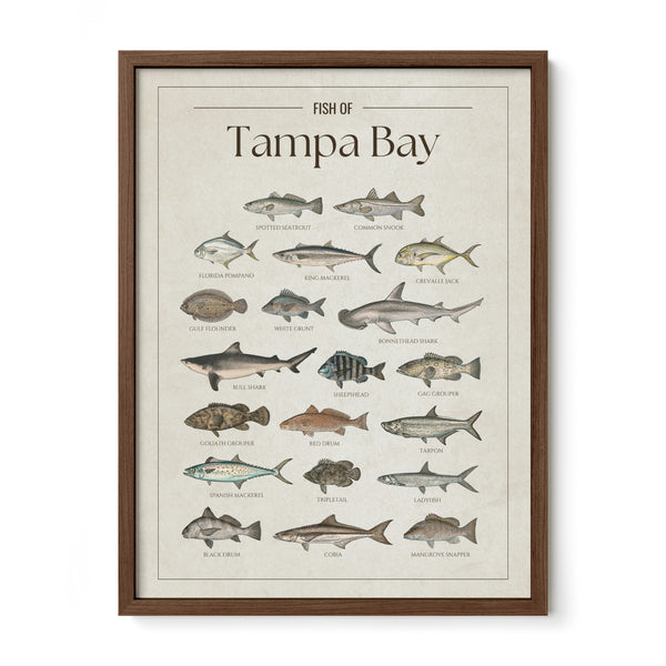 Tampa Bay Print