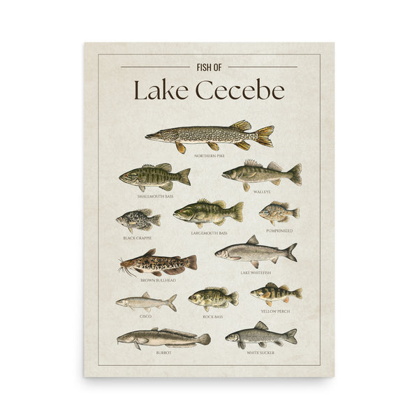 Lake Cecebe Print