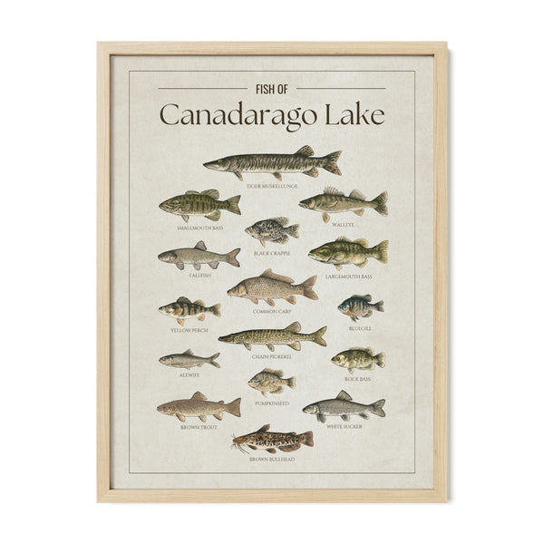 Canadarago Lake Print