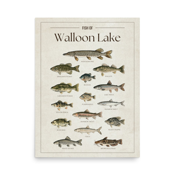 Walloon Lake Print