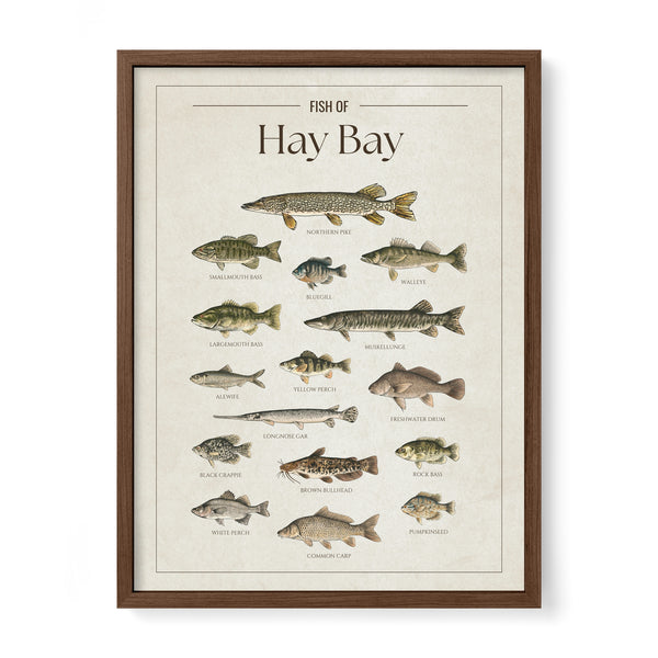 Hay Bay Print