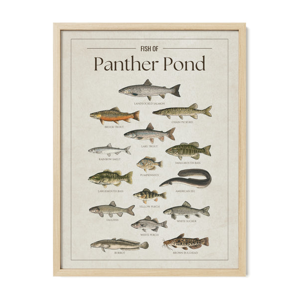 Panther Pond Print