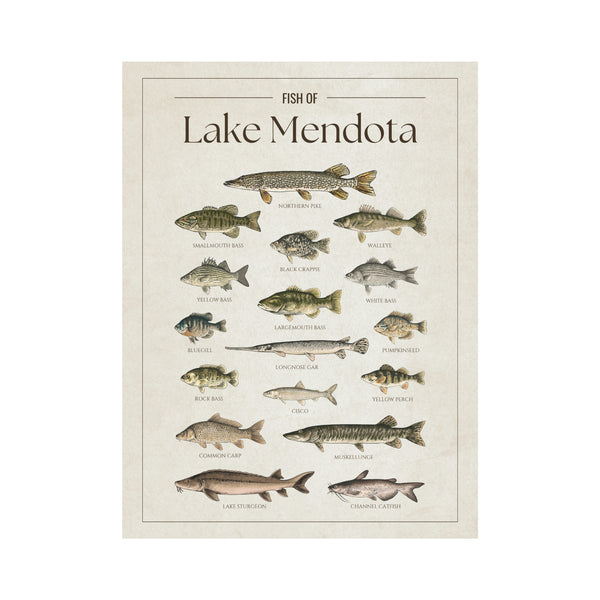 Lake Mendota Print