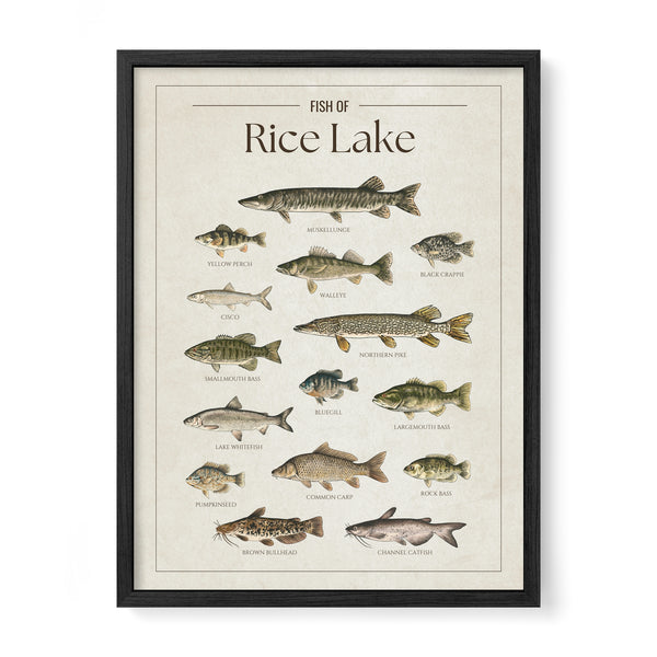 Rice Lake Print