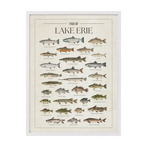 Lake Erie Print