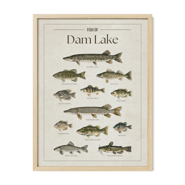 Dam Lake Print