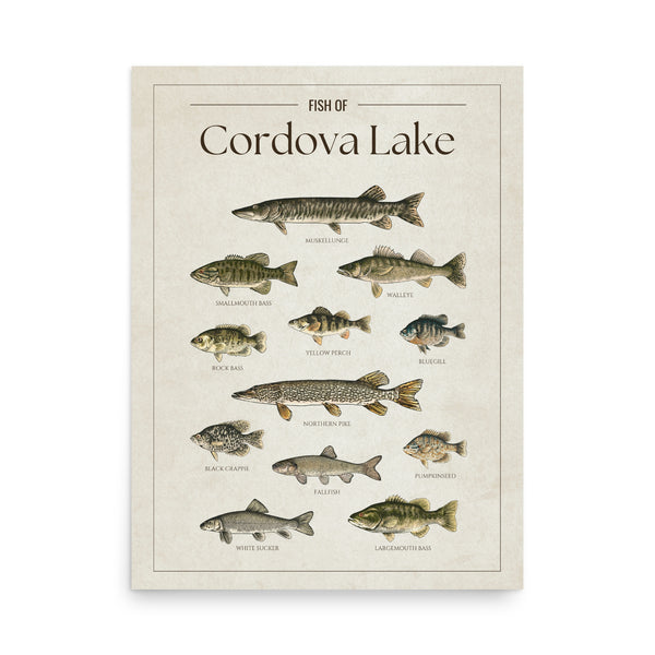 Cordova Lake Print