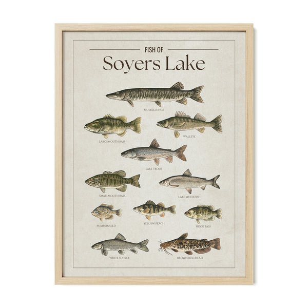 Soyers Lake Print