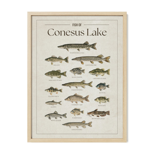 Conesus Lake Print