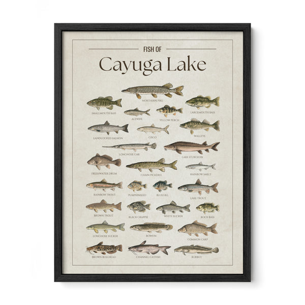 Cayuga Lake Print