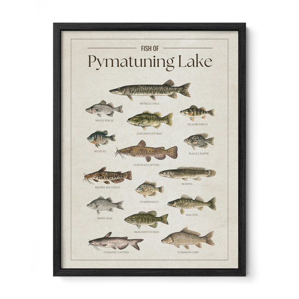 Pymatuning Lake Print