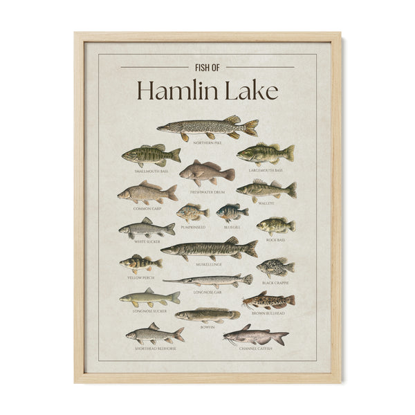 Hamlin Lake Print