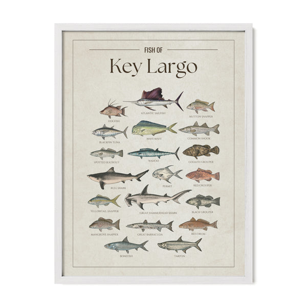 Key Largo Print