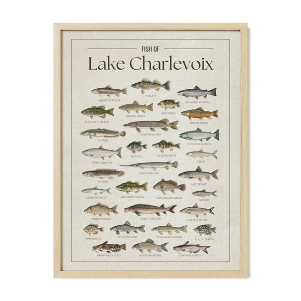 Lake Charlevoix Print
