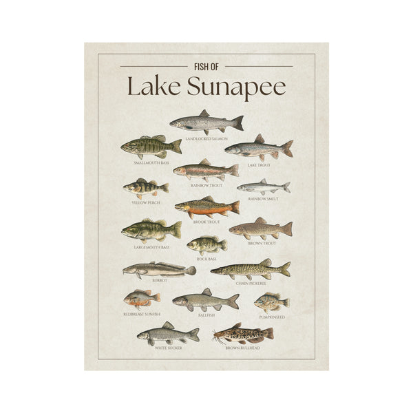 Lake Sunapee Print