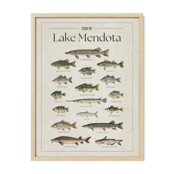 Lake Mendota Print